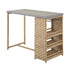 4 - Person Patio Wicker Bar Set