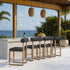 Palms Bar Stools (Set of 2)