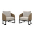 Jamison 2pc Club Chairs